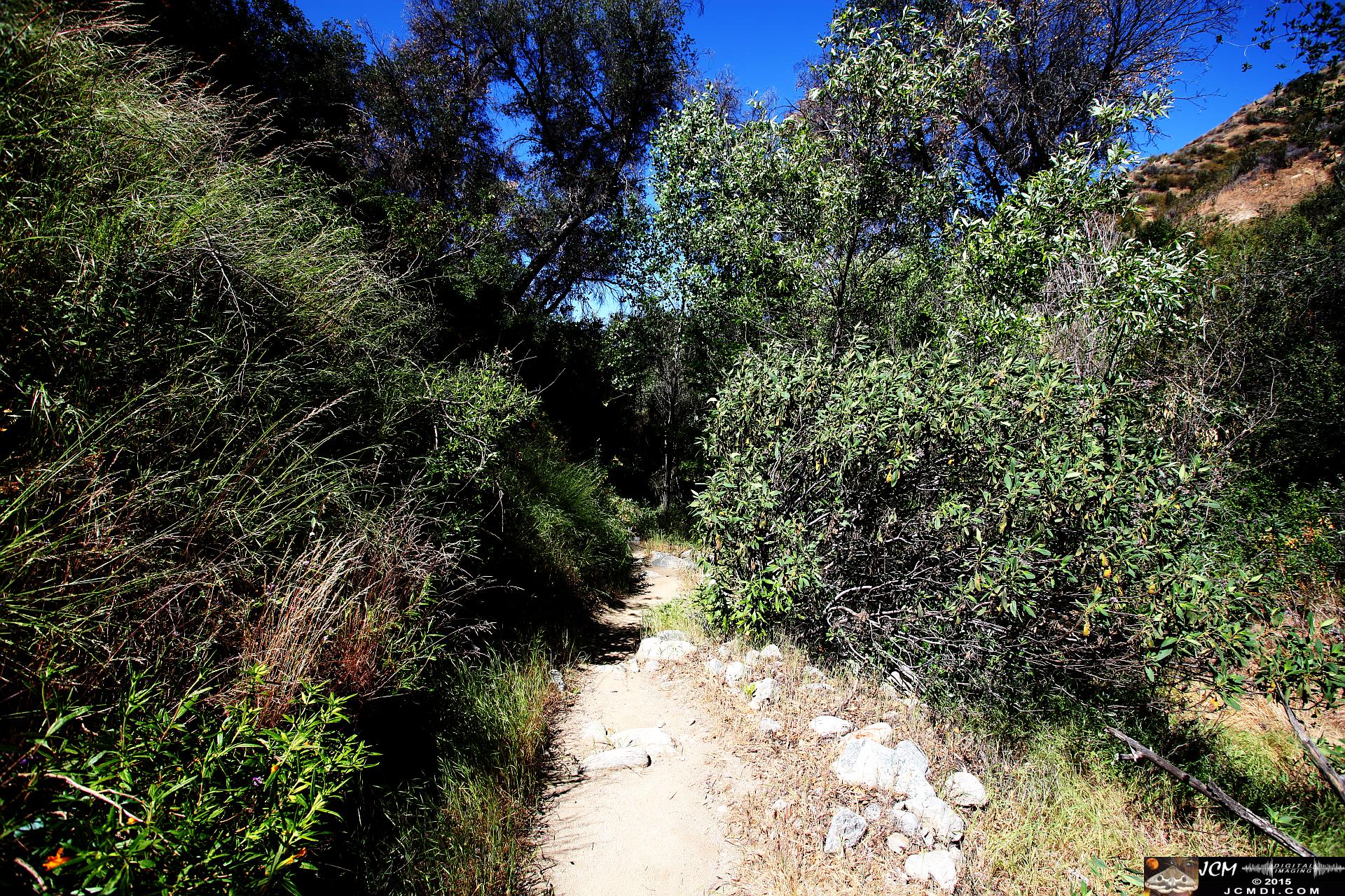 Whitney Canyon Hike canyon bottom